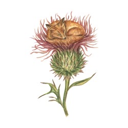 Ирина Авдеева