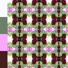 DES_1863_17843