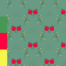 DES_1911_20495