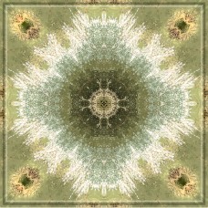 DES_3122_24497