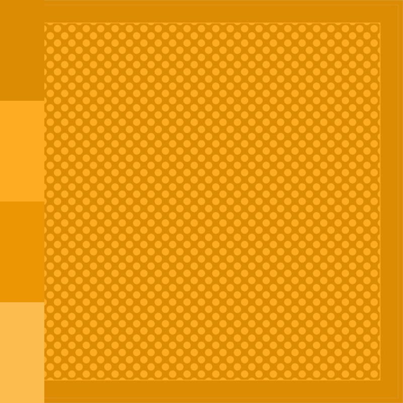 DES_3170_25507