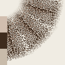 DES_321_14239_midi