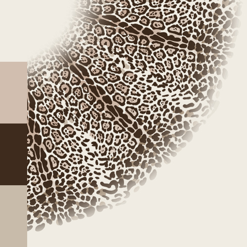 DES_321_14239_midi