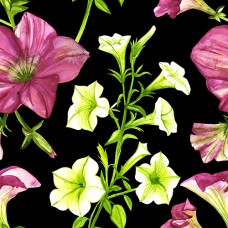 DES_416_24083