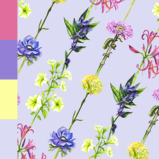 DES_416_24589