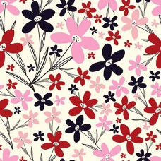 DES_427_17162