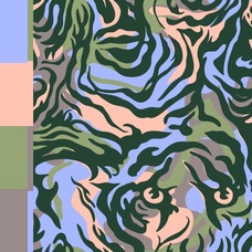 DES_555_25950