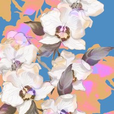 DES_72_13264